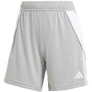 Shortsit & Bermuda-shortsit adidas  Short  Tiro 24 gris  EU XL