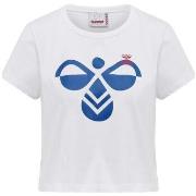 Lyhythihainen t-paita hummel  T-shirt  hmlIC TEXAS blanc  EU S