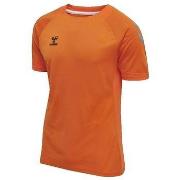 Lyhythihainen t-paita hummel  T-shirt  hmlLEAD S/S POLY JERSEY orange ...