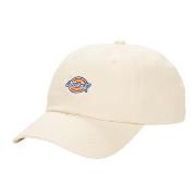 Lippalakit Dickies  HARDWICK WHITECAP GRAY  Yksi Koko