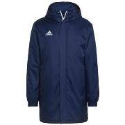 Parkatakki adidas  Veste de survêtement  Entrada 22 Stadium  EU S