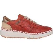 Kengät Pikolinos  Arenas  36