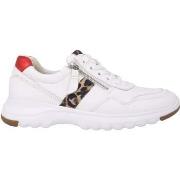 Kengät Gabor  46.318.51  37