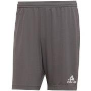 Shortsit & Bermuda-shortsit adidas  Entrada 22  EU 3XL