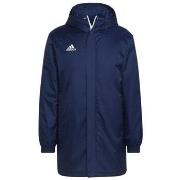 Parkatakki adidas  Entrada 22 Stadium  EU L