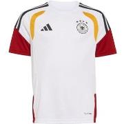 Lyhythihainen t-paita adidas  KB4441000  EU S