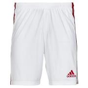 Shortsit & Bermuda-shortsit adidas  SQUAD 21 SHO  EU XXL