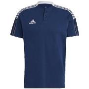 Lyhythihainen poolopaita adidas  Polo  Tiro 21 Bleu Marine  EU S