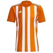 Lyhythihainen t-paita adidas  T-shirt  Striped 21  EU S