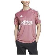 Lyhythihainen t-paita adidas  T-shirt  Tiro manches courtes  EU S