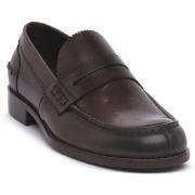 Kengät Franco Fedele  MORO LORNAT  41