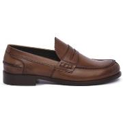 Kengät Franco Fedele  FOX LORNAT  42