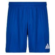 Shortsit & Bermuda-shortsit adidas  Entrada26 Shorts  EU XXL