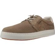 Kengät Fluchos  2366F  40