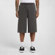 Shortsit & Bermuda-shortsit Dickies  Streetsboro 13 inch sweat  EU S