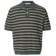 Lyhythihainen poolopaita Selected  Dane Knit - Balsam Green/Stripes  E...