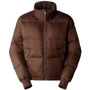 Toppatakki The North Face  Paralta  EU L