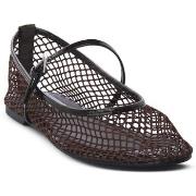 Balleriinat Steve Madden  BROWN MAGS  38