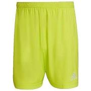Shortsit & Bermuda-shortsit adidas  Entrada 22  EU S