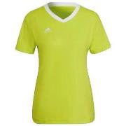 Lyhythihainen t-paita adidas  Maillot  Entrada 22 Jaune  EU S
