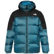 Toppatakki The North Face  Diablo  EU M