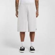 Shortsit & Bermuda-shortsit Dickies  Streetsboro 13 inch sweat  EU S