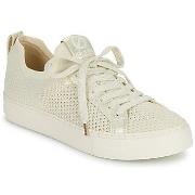 Kengät No Name  ARCADE FLY W  36