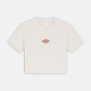 Lyhythihainen t-paita Dickies  MAPLE VALLEY  EU XS