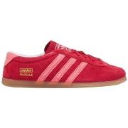 Kengät adidas  Gazelle Lo Pro W IH6944  36