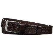 Vyöt Rovicky  PLWR15BROWNROV  Yksi Koko