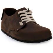 Tennarit Bioline  TANUKI INGRASSATO MORO  42