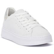 Kengät Sun68  SUN68  0144 GIRL GRACE T  38