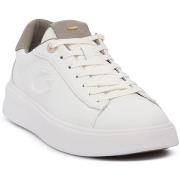 Kengät Alberto Guardiani  096 AERIS  41