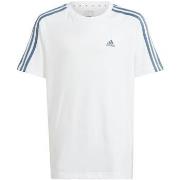 Lyhythihainen t-paita adidas  T-shirt  Essentials 3-Stripes blanc  EU ...