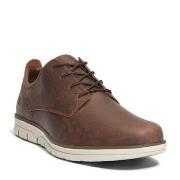 Kengät Timberland  BRADSTREET LOW  40