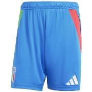 Shortsit & Bermuda-shortsit adidas  Short  Italie 24 Away  EU L