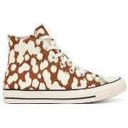 Kengät Converse  -  36