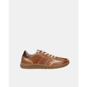 Kengät Fluchos  JUNGLE F2430  37