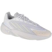 Kengät adidas  Ozelia  40