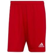 Shortsit & Bermuda-shortsit adidas  Entrada 22  EU M