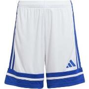 Shortsit & Bermuda-shortsit adidas  Squa25 Sho Y  7 / 8 vuotta