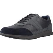 Kengät Geox  Sport   Zapatillas Hombre Modèle U Avery  45