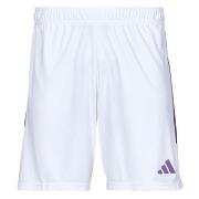 Shortsit & Bermuda-shortsit adidas  TIRO 23 SHO  EU S
