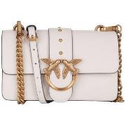 Olkalaukut Pinko  Love One Mini Icon  Yksi Koko