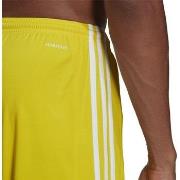 Shortsit & Bermuda-shortsit adidas  Squadra 21  EU L