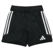 Shortsit & Bermuda-shortsit adidas  TIRO23 CBTRSHOY  11 / 12 vuotta
