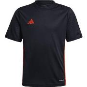 Lyhythihainen t-paita adidas  Tabela 23  EU XL
