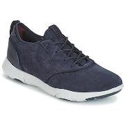 Kengät Geox  NEBULA S  43