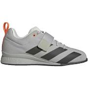 Kengät adidas  Adipower Ii  36