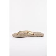 Rantasandaalit Ilse Jacobsen  Chanclas Mujer Modèle Cheerful03g Chancl...